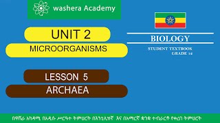 BIOLOGY GRADE 12 UNIT 2 LESSON 5 ARCHAEA [upl. by Riamu]