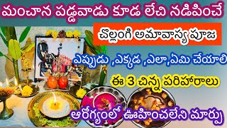 chollangi amavasya date 2024Chollangi amavasya pooja in teluguchollangi amavasya pooja vidhanam [upl. by Elsey]