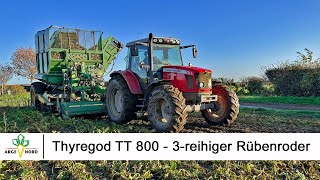 Thyregod TT800  3reihiger Rübenroder gezogen 3 row sugar beet harvester [upl. by Eidnam]