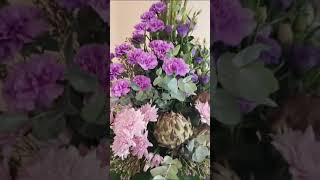 horticulture shortsvideo flowers [upl. by Paget]