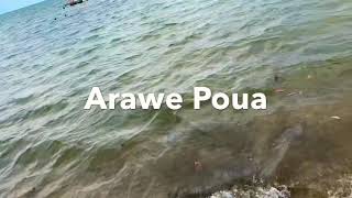 Arawe Poua  Tasik Yard 2020 PNG local [upl. by Reywas]