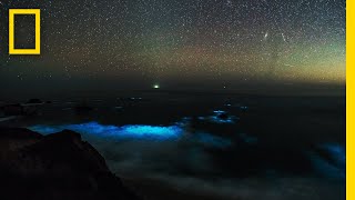 See a Glowing Plankton Bloom in Californias Big Sur  National Geographic [upl. by Ramsa]