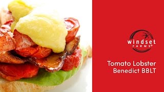 Windset Farms Tomato Lobster Benedict BBLT [upl. by Tallbott530]