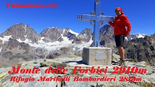 Monte delle Forbici 2910m Rifugio Marinelli 2813m Valmalenco SO 8 Luglio 2022 [upl. by Schofield906]