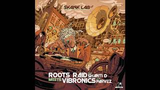 Vibronics ft Parvez  Healing of The Nation  Roots Raid Remix [upl. by Oicatsana]