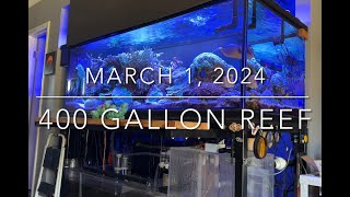 400 gallon reef update [upl. by Robb]