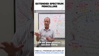 Extended Spectrum Penicillins drnajeeb drnajeeblectures shortvideostatus [upl. by Ivzt523]