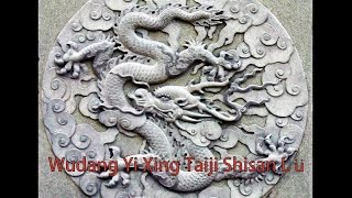 Wudang Yi Xing Taiji Shi San Lu  Part 6 [upl. by Ecart]