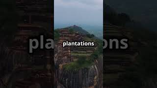 Discover Sri Lanka  top 5 places must visit in 2024 travel shorts [upl. by Atig]