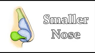 Shrink Your Nose  Get a Smaller Nose  Permanent CHANGE SUBLIMINALFREQ [upl. by Blondy741]