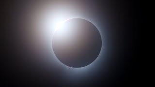 Totality from Solar Eclipse 2024 [upl. by Wat934]