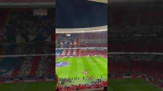 🏟️ HASTA EL FIN DE MIS DÍAS TIFO Metropolitano ElDerbideMadrid [upl. by John896]