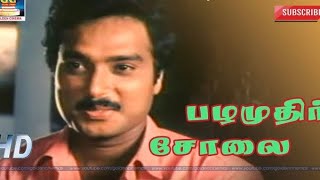 Pazhamudhir Cholai Song Karaoke For Male Singers  Varusham 16 Movie [upl. by Lomax]