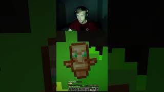 Totem a Matěj minecraft gaming hardcore death stupid elitra live twitch dssmici [upl. by Beghtol25]