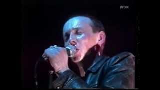 Magazine  Live at Rockpalast 1980 [upl. by Kalasky376]