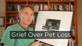 Grief over Pet Loss How to Cope and What Needs to Change [upl. by Ayanej203]