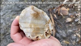 Episode 2  Geologist goes Rockhounding for Agates in Washington State [upl. by Middendorf]