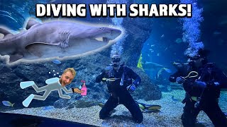 Scuba Diving With Sharks Inside A Mall In Bangkok Thailand [upl. by Yetac]