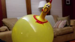 Rubber Chicken Strikes Back [upl. by Gnet]