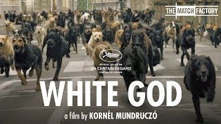 White God 2014  Trailer  Zsófia Psotta  Sándor Zsótér  Lili Horvát [upl. by Der]