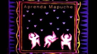 Aprenda Mapuche  Audio Completo [upl. by Chas741]