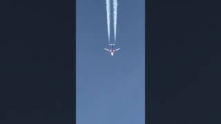 a321 wizzair pilot run flight [upl. by Booker405]