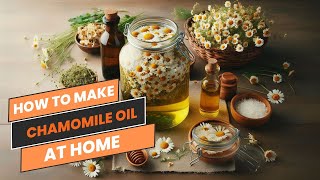 How to Make Chamomile Oil at Home [upl. by Akinihs287]