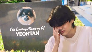 Yeontans passing BTS V Reveals Heartwarming Last Memories [upl. by Egbert6]