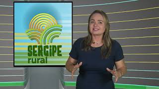 SERGIPE RURAL  PROGRAMA 484 [upl. by Messing39]