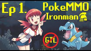 PokeMMO Ironman Progress  Ep 1 [upl. by Naamann]