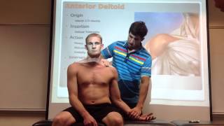 Anterior Deltoid Palpation Manual Therapy amp Stretch [upl. by Elga]