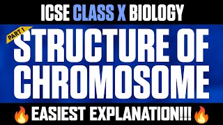 Understanding Chromosome Structure Part 1  Easiest Explanation  ICSE CLASS X BIOLOGY 🔥 [upl. by Elysha]