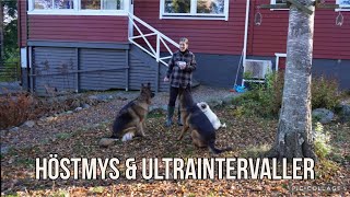 Höstfix och ultraintervaller på landet I Vlogg [upl. by Marni]