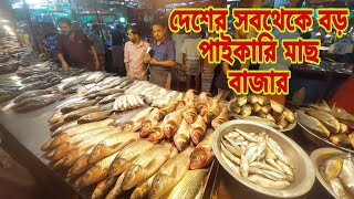 সস্তায় মাছ কিনতে আজই আসুন  Jatrabari Wholesale Fish Market 23 November 2024  My Life [upl. by Bina]