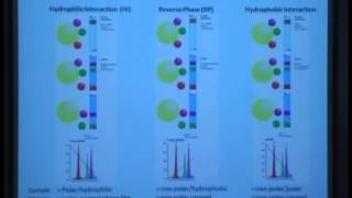 Chromatography of Carbohydrates [upl. by Eeraj541]