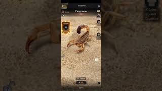 Upgrade the Cicindela aurulenta to level 8 The Ants Underground Kingdom [upl. by Abram531]