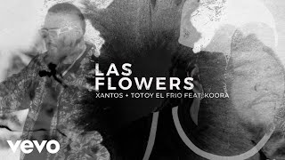 Xantos Totoy El Frio  ft Koora Las Flowers Video Oficial [upl. by Ellenaj]