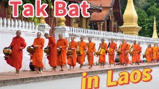 老挝寮國布施  Tak Bat the almsgiving ceremony LuangPrabang Laos 202410 [upl. by Noseyt923]