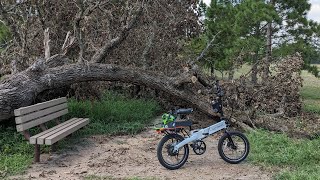 Clearing bike paths with my new cordless chainsaw [upl. by Amein]