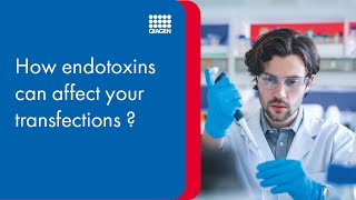 How endotoxins can affect your transfections – bench tutorial [upl. by Atlee498]