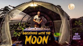 Moon Planting And Gardening Guide  Moon Planting Unlocking the Full Potential of Your Seeds [upl. by Attirehs]