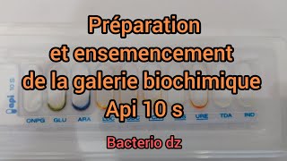 préparation et ensemencement de la galerie biochimique api 10s [upl. by Basham792]