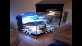 Budowa terrarium  Agama Brodata  Bearded Dragon tank [upl. by Allehc]