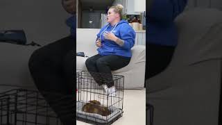 Puppy Crate Training SECRET 1 [upl. by Harat]