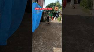 Kolkata catching blind dog and treatment for shelter difficult catching karon dog ta pregnant [upl. by Arielle]