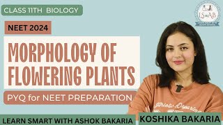 PART 1 NEET 2024 Preparation Morphology of Flowering Plants  Previous Year Questions PYQs [upl. by Ahsinauj340]