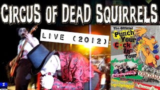 Circus of Dead Squirrels  Live January 14th 2012 Illiopolis Illinois [upl. by Henke]