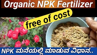 ರೂಪಾಯಿ ಖರ್ಚಿಲ್ಲದ ಆರ್ಗಾನಿಕ್ NPK ಮಾಡುವ ಸುಲಭ ವಿಧಾನhow to make organic NPK at homeNPK Fertilizer [upl. by Rizas]