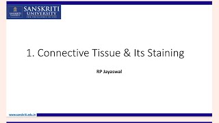 Connective Tissue and Its Staining [upl. by Longerich964]