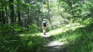 Wawayanda State Park and a bear  njHikingcom [upl. by Euqirdor468]